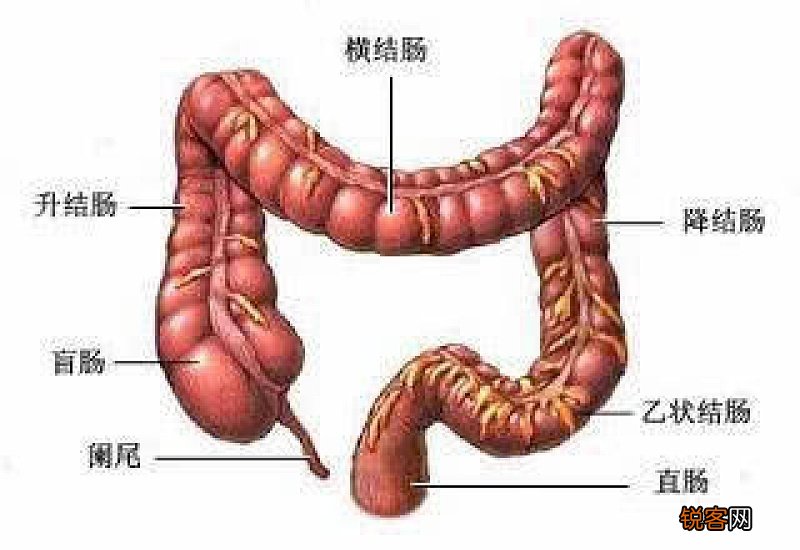 直肠癌的症状是什么 直肠癌有哪些症状