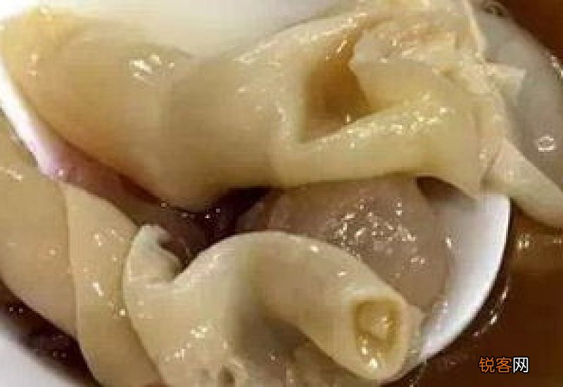 鱼胶泡发要放冰箱吗