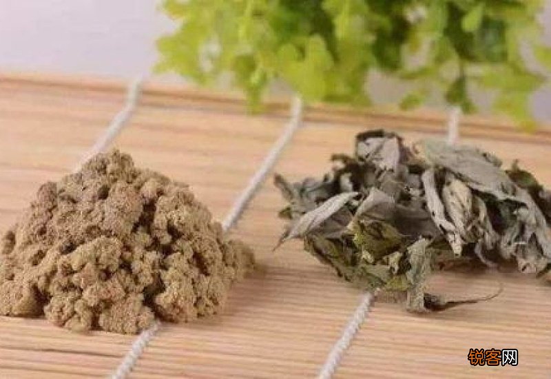 艾草安神助眠吗 怎样快速进入睡眠的小技巧
