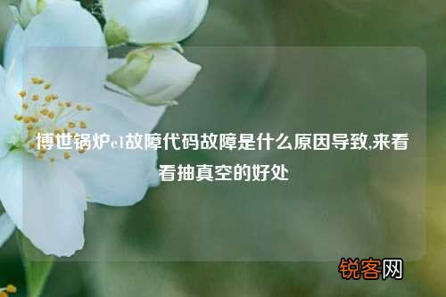 博世锅炉e1故障代码故障是什么原因导致,来看看抽真空的好处