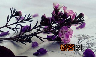 燔诗书而明法令的意思 燔诗书而明法令的解释