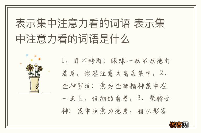表示集中注意力看的词语 表示集中注意力看的词语是什么
