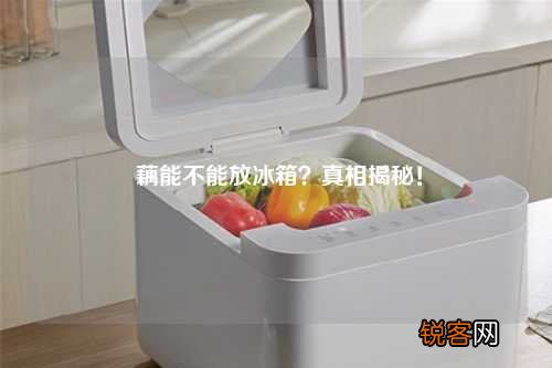 藕能不能放冰箱？真相揭秘！