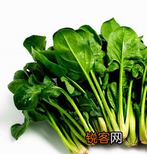 富镁食物可降低中风危险