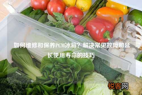 如何维修和保养PCM冰箱？解决常见故障和延长使用寿命的技巧