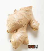 哪些人不宜食用生姜