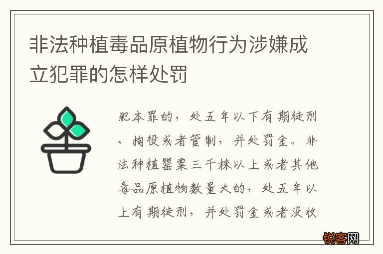 非法种植毒品原植物行为涉嫌成立犯罪的怎样处罚