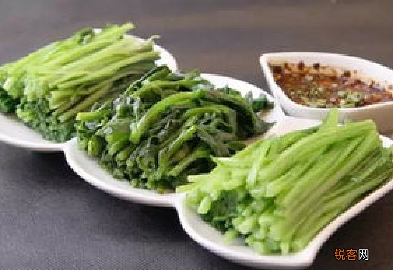 夏天种什么青菜合适