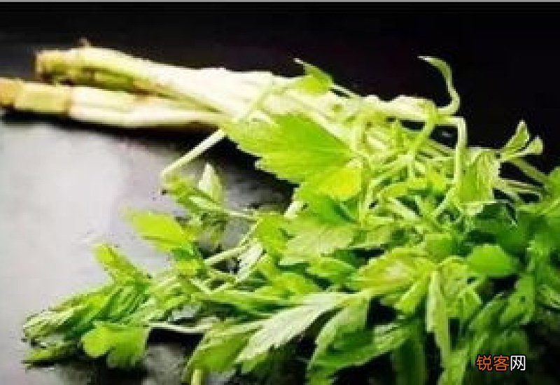 水芹菜焯水多长时间