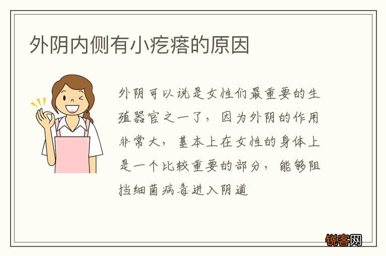 外阴内侧有小疙瘩的原因