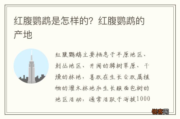 红腹鹦鹉是怎样的？红腹鹦鹉的产地