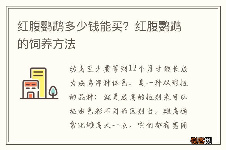 红腹鹦鹉多少钱能买？红腹鹦鹉的饲养方法