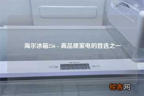 海尔冰箱256 - 高品质家电的首选之一