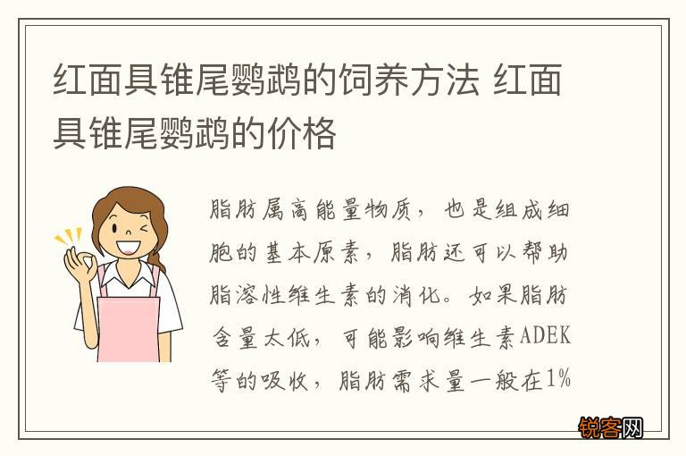 红面具锥尾鹦鹉的饲养方法 红面具锥尾鹦鹉的价格