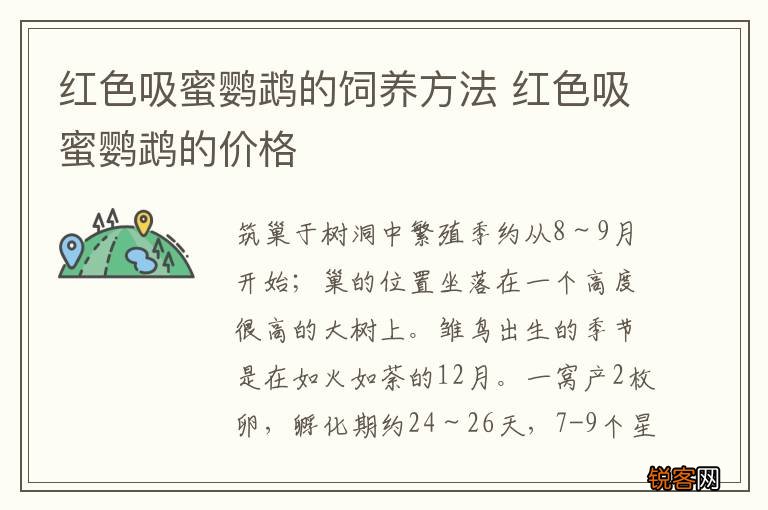 红色吸蜜鹦鹉的饲养方法 红色吸蜜鹦鹉的价格