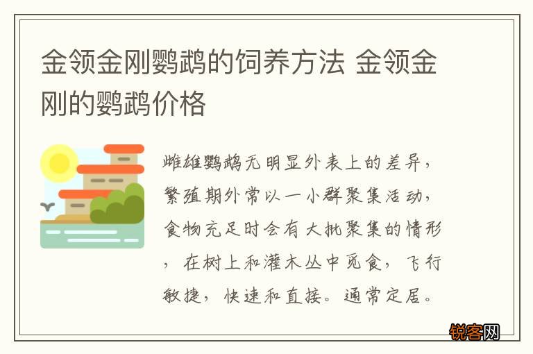 金领金刚鹦鹉的饲养方法 金领金刚的鹦鹉价格