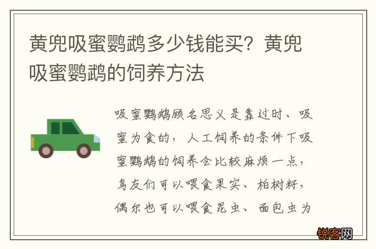黄兜吸蜜鹦鹉多少钱能买？黄兜吸蜜鹦鹉的饲养方法