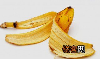 香蕉皮是什么意思 香蕉皮如何解释