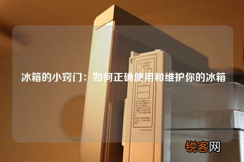 冰箱的小窍门：如何正确使用和维护你的冰箱
