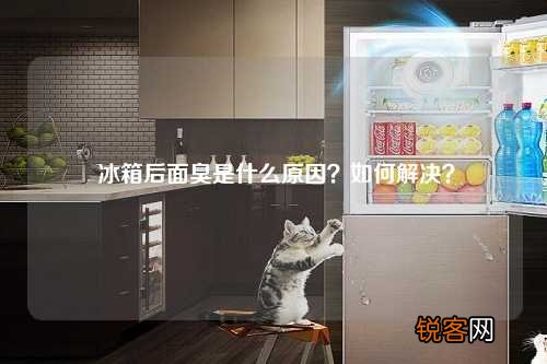 冰箱后面臭是什么原因？如何解决？