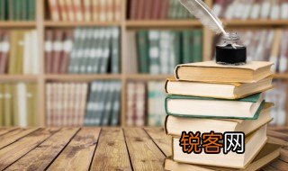 偷书贼简介 偷书贼介绍