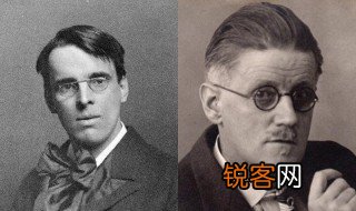 乔伊斯简介 乔伊斯介绍