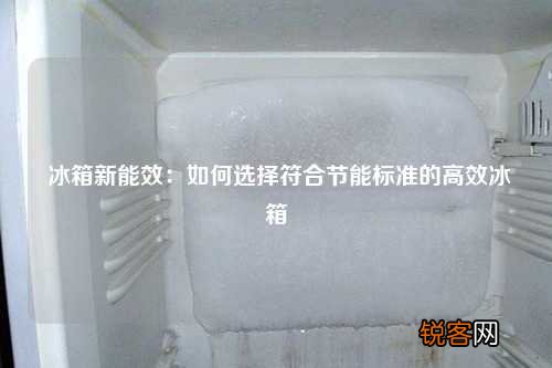 冰箱新能效：如何选择符合节能标准的高效冰箱