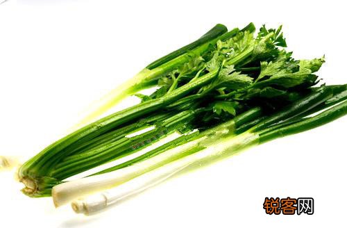 逛菜场找准新鲜嫩蔬菜