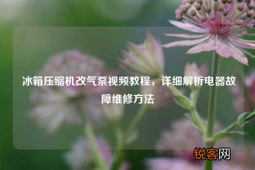 冰箱压缩机改气泵视频教程，详细解析电器故障维修方法