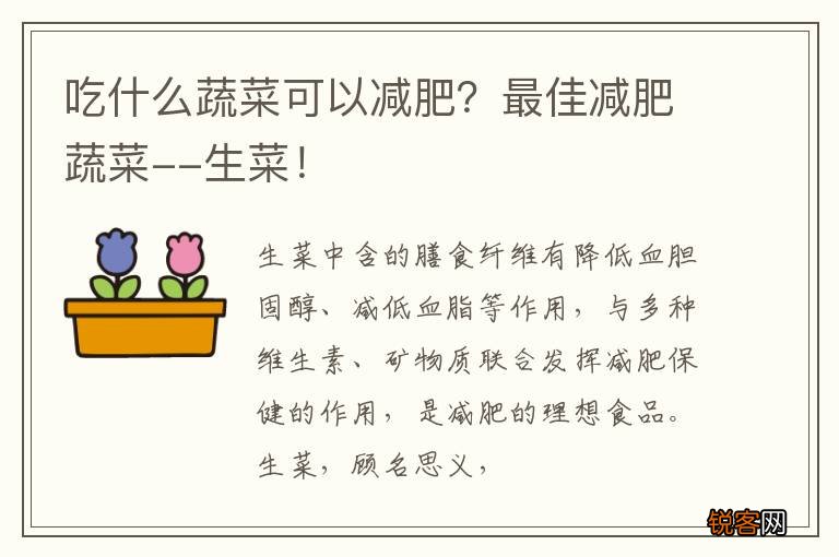 吃什么蔬菜可以减肥？最佳减肥蔬菜--生菜！