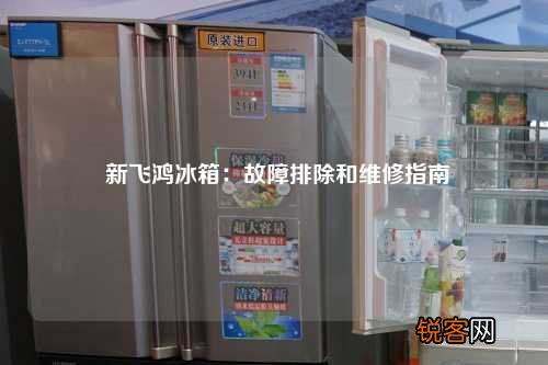 新飞鸿冰箱：故障排除和维修指南