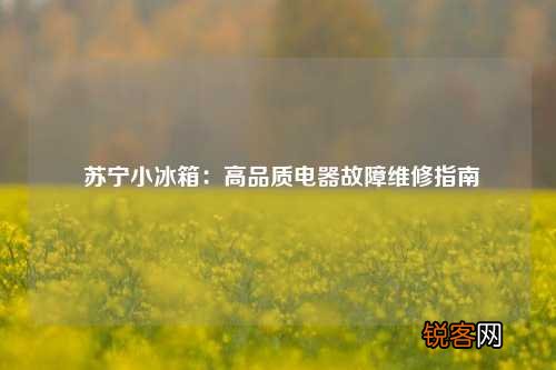 苏宁小冰箱：高品质电器故障维修指南