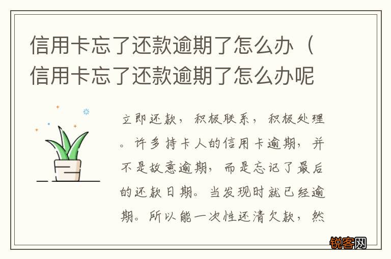 信用卡忘了还款逾期了怎么办呢 信用卡忘了还款逾期了怎么办