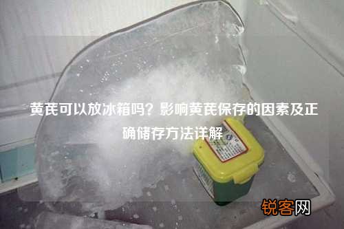 黄芪可以放冰箱吗？影响黄芪保存的因素及正确储存方法详解
