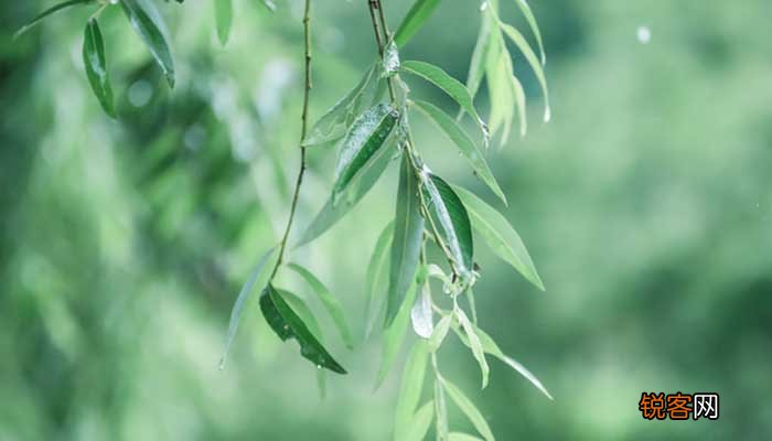 春夜喜雨表达了诗人怎样的感情 《春夜喜雨》原文
