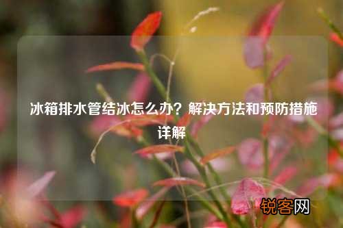 冰箱排水管结冰怎么办？解决方法和预防措施详解