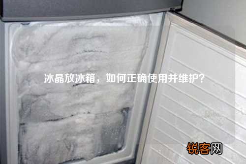 冰晶放冰箱，如何正确使用并维护？