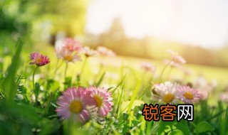 春天是一个什么样的季节 春天是什么样的呢