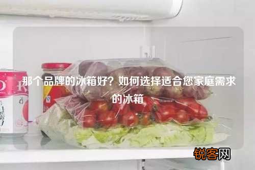 那个品牌的冰箱好？如何选择适合您家庭需求的冰箱