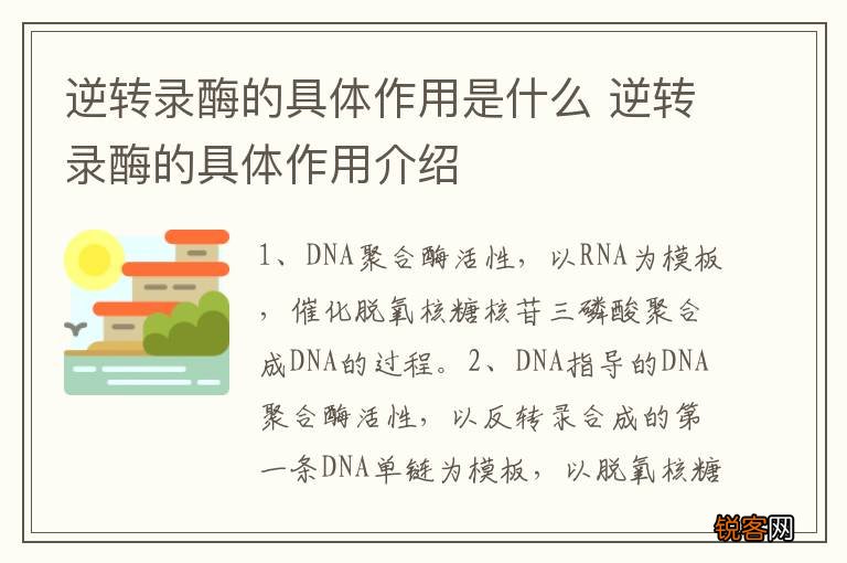 逆转录酶的具体作用是什么 逆转录酶的具体作用介绍