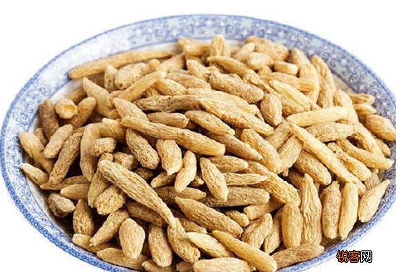 麦冬夏天可以泡水喝吗