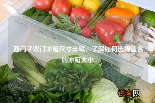 西门子双门冰箱尺寸详解，了解如何选择适合的冰箱大小