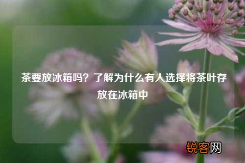 茶要放冰箱吗?了解为什么有人选择将茶叶存放在冰箱中