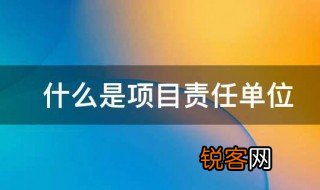 什么是项目责任单位 项目责任单位的解释