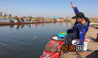 静海花园垂钓园介绍 天津静海花园垂钓园介绍
