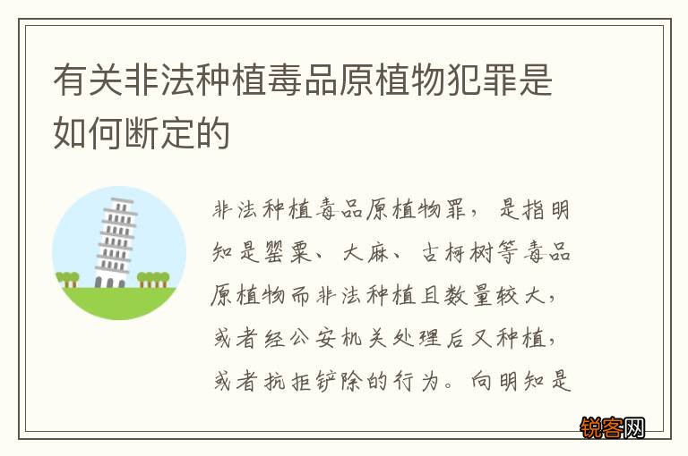 有关非法种植毒品原植物犯罪是如何断定的