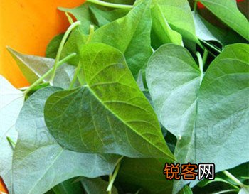 警惕：吃菜不当等于吃垃圾