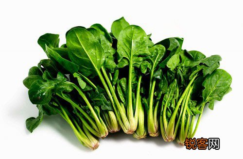 警惕：吃菜不当等于吃垃圾