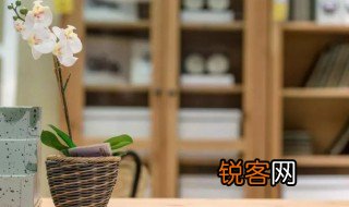 年年有风风吹年年慢慢即漫漫这句话什么意思 年年有风风吹年年慢慢即漫漫的解释