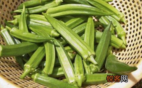 植物伟哥 黄秋葵的保健功效